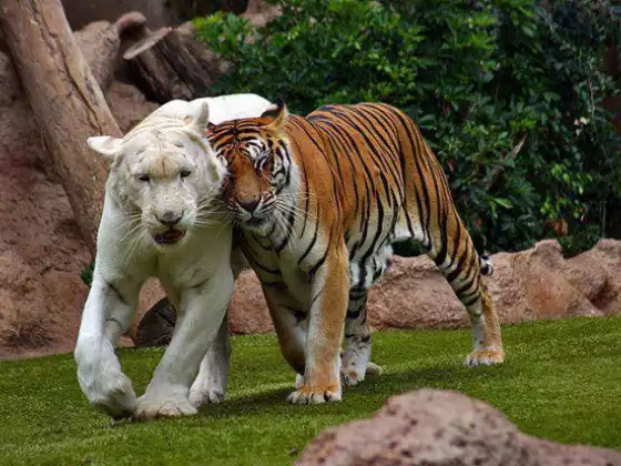 Transformative Leadership: Your Inner Fierce God(dess) Awaits!