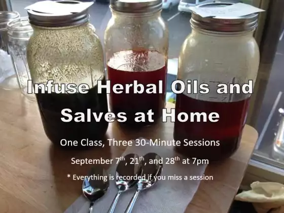Infuse Herbal Oils and Salves at Home