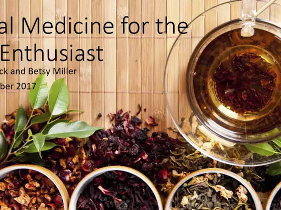 Herbal Medicine for the New Enthusiast
