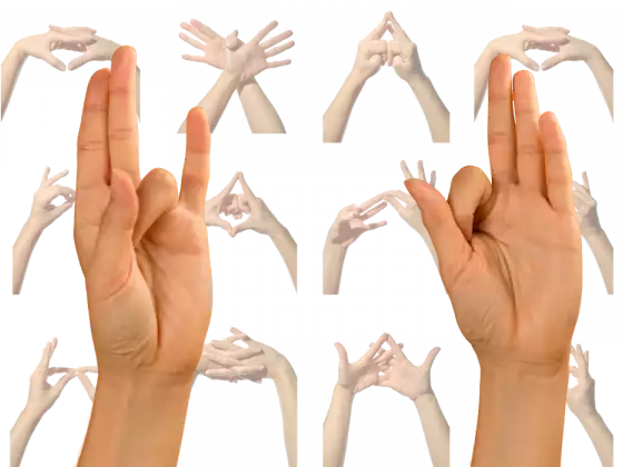 Mystical Mudras: A Monthly Reiki/Yoga Fusion Workshop Series